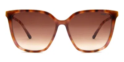 Mexx 6573 200 Occhiali Da Sole Tartarugatishell Per Uomo