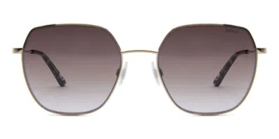 Mexx 6575 100 Occhiali Da Sole Oro Per Uomo In Multi