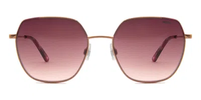 Mexx 6575 200 Occhiali Da Sole Marroni Per Uomo