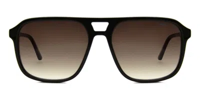 Mexx 6580 300 Occhiali Da Sole Tartarugatishell Per Uomo