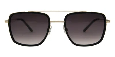 Mexx 6641 100 Occhiali Da Sole Oro Per Uomo In Black