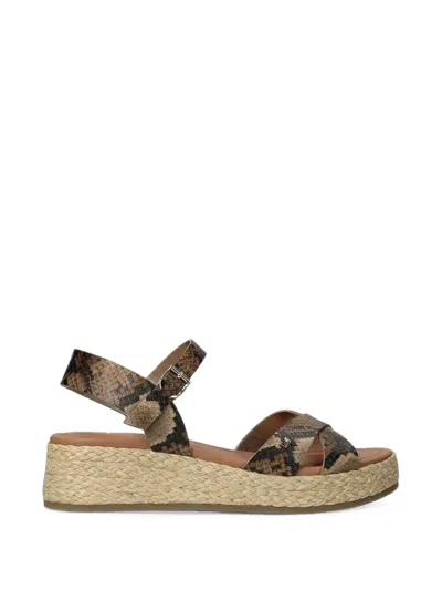 Mexx Snake-effect Espadrille Sandals In Multi