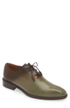 Mezlan Barbaro Oxford In Olive/ Mocha