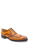 Mezlan Galco Wingtip Oxford In Brown