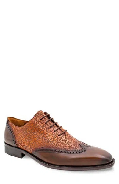 Mezlan Patina Laser Wingtip Oxford In Brown