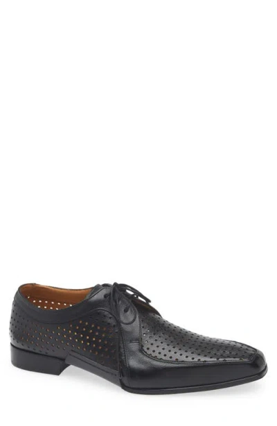 Mezlan Perforated Bike Toe Derby In Black