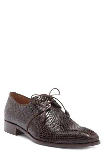 Mezlan Snake Embossed Derby