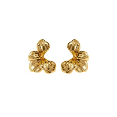 Mg Jewelry Women's Gold Moon Bloom Waterproof Earrings