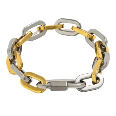 Mg Jewelry Women's Gold / Silver Harmony Two Tone Carabiner Bracelet In Multi