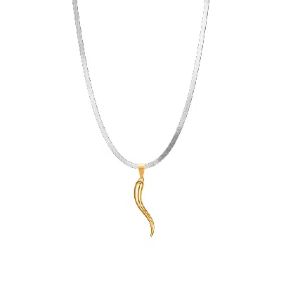Mg Jewelry Women's Gold / Silver Mini Two Tone Lucky Horn Necklace In Multi