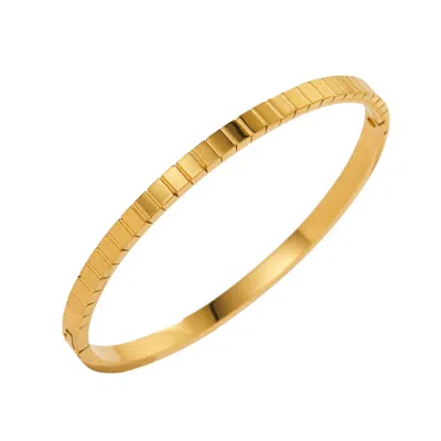 Mg Jewelry Women's Gold Square Waterproof Bangle