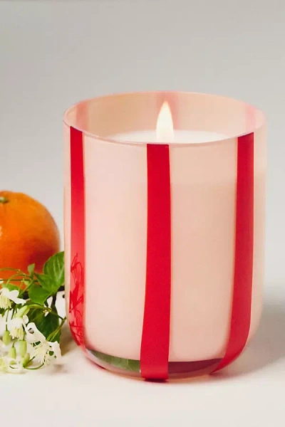 Mægen Atina Fresh Orange Blossom & Basil Glass Candle In Multi