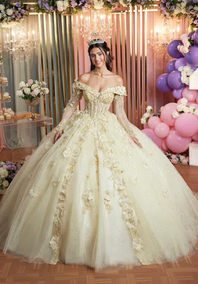 Mgny Madeline Gardner New York 89505 Long Sweet 16 3d Floral Quinceanera Dress In Multi