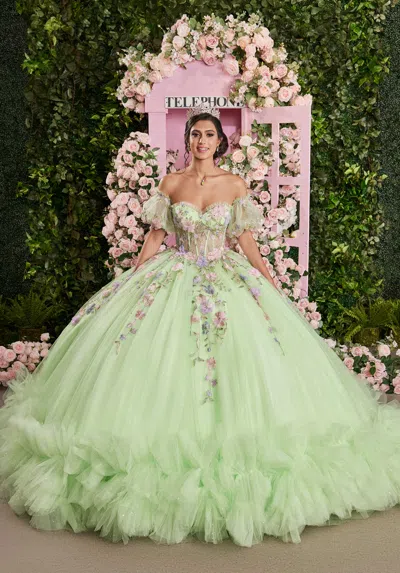 Mgny Madeline Gardner New York 89510 Long Corset Floral Applique Quinceanera Dress In Green