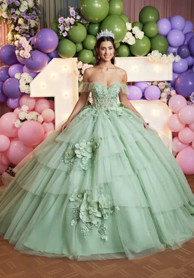 Mgny Madeline Gardner New York 89522 Long Quinceanera Dress Glitter Corset Ball Gown In Green
