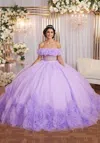 Mgny Madeline Gardner New York 89524 Long Sweet 16 3d Floral Quinceanera Dress In Purple