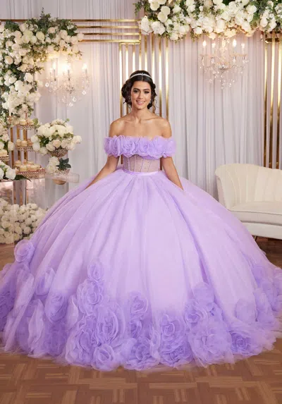 Mgny Madeline Gardner New York 89524 Long Sweet 16 3d Floral Quinceanera Dress In Purple