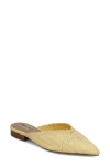Mia Abia Pointed Toe Mule In Yellow