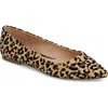 Mia Avi Pointed Toe Flat In Jaguar