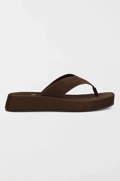 Mia Shoes Mia Pamelia Platform Thong Sandal In Chocolate, Women's At Urban Outfitters In Multi