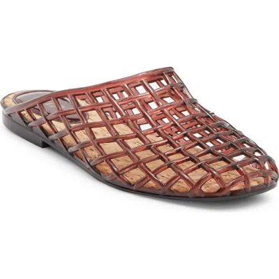 Mia Sophie Clear Woven Mule In Multi