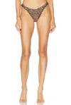 Miaou Rio Bikini Bottom In Leopard