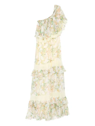 Miau By Clara Rotescu Floral-print Maxi Dress In Yellow