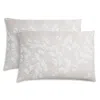 Michael Aram Butterfly Gingko Standard Shams, Set Of 2 In Neutral