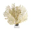 Michael Aram Fan Coral Nature Study Limited-edition Sculpture