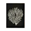 Michael Aram Fan Coral Shadow Box In Metallic