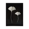 Michael Aram Ginkgo Leaf Shadow Box In Black