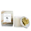Michael Aram Palm Candle In Silver/gold