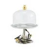 Michael Aram Pomegranate Pastry Dish With Dome