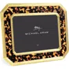 Michael Aram Tortoise Geometric Picture Frame In Multi