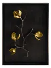 Michael Aram Wild Pod Shadow Box