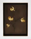 Michael Aram Wild Pod Shadow Box