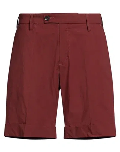 Michael Coal Man Shorts & Bermuda Shorts Brown Size 31 Cotton, Elastane