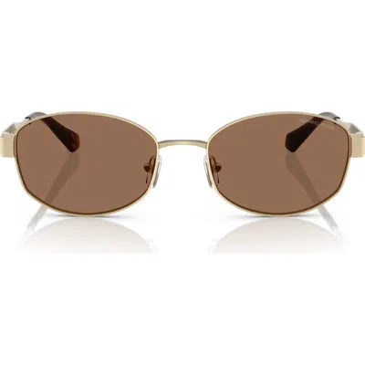 Michael Kors 56mm Oval Sunglasses In Brown/gold