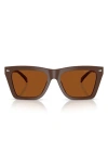 Michael Kors Pebble Beach Mk2225u 400773 In Brown