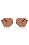 Michael Kors 59mm Pilot Sunglasses In Brown