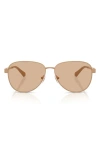 Michael Kors 59mm Pilot Sunglasses In Caramel