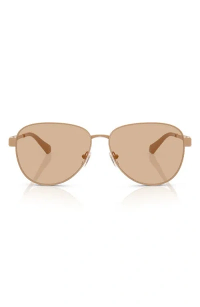 Michael Kors 59mm Pilot Sunglasses In Brown