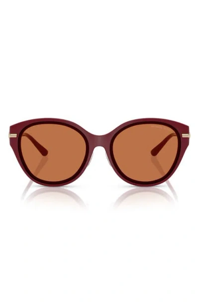 Michael Kors 59mm Round Sunglasses In Dark Red