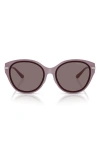 Michael Kors 59mm Round Sunglasses In Brown