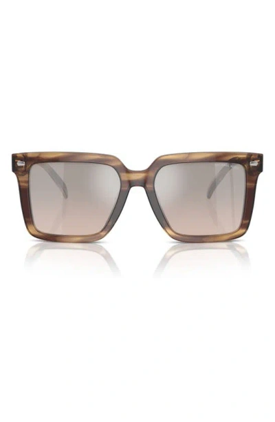 Michael Kors Abruzzo 55mm Square Sunglasses In Brown Horn