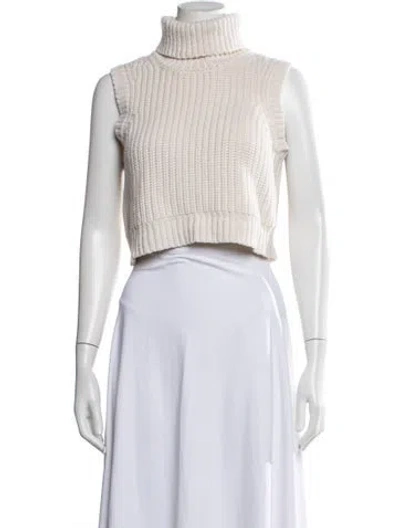 Pre-owned Michael Kors Cashmere Turtleneck Sweater In Neutrals