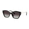 Michael Kors Catskills Dark Gray Gradient Butterfly Ladies Sunglasses Mk2246u 30058g 54 In Black