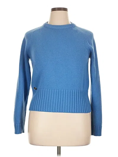 Pre-owned Michael Kors Collection Cashmere Pullover Sweater In Blue