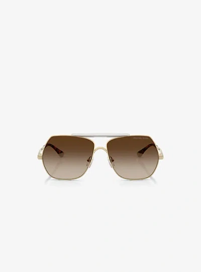 Michael Kors Denver Sunglasses In Brown