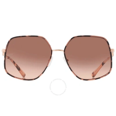 Michael Kors Empire Butterfly Brown Pink Gradient Irregular Ladies Sunglasses Mk1127j 110813 59 In Brown / Pink / Rose